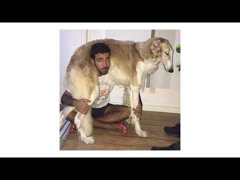 Julio Secchin - Tabaquinho (Audio)