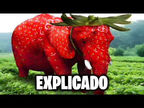 Where did the Strawberry Elephant come from? (sub in english)