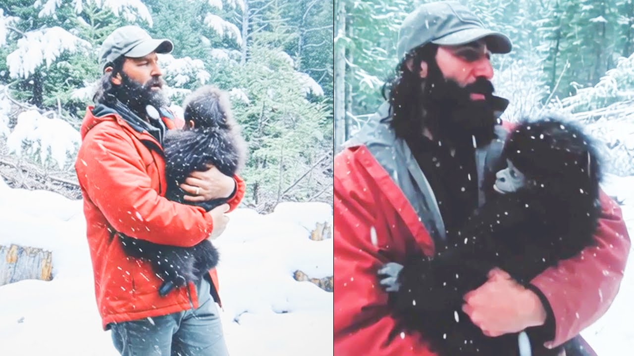 Hình thu nhỏ YouTube