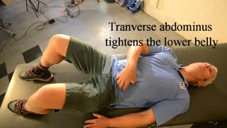 The stop back pain university videos are here.