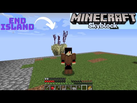 Going To End In Skyblock ! Minecraft Part2 | DeathBash