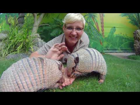 "Wir sind die Tierpfleger vom Erlebnis-Zoo"