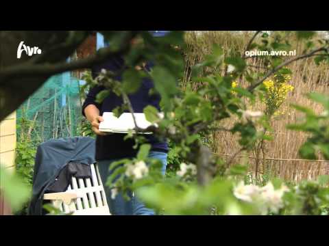 Opzij Literatuurprijs 2012 - Hedda Martens