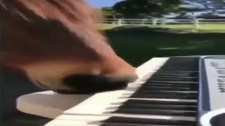 Cover art for Horse playing classical music