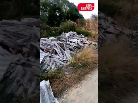 Valea Mare   Negrilesti   BN 2019