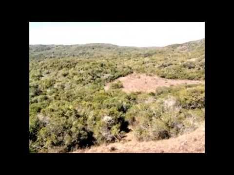 Rivera,paysajes y descubrimientos (6)