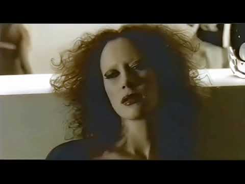 Pepe Deluxé - Before You Leave 25 years