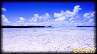 Vinnie Paz - Role of Life