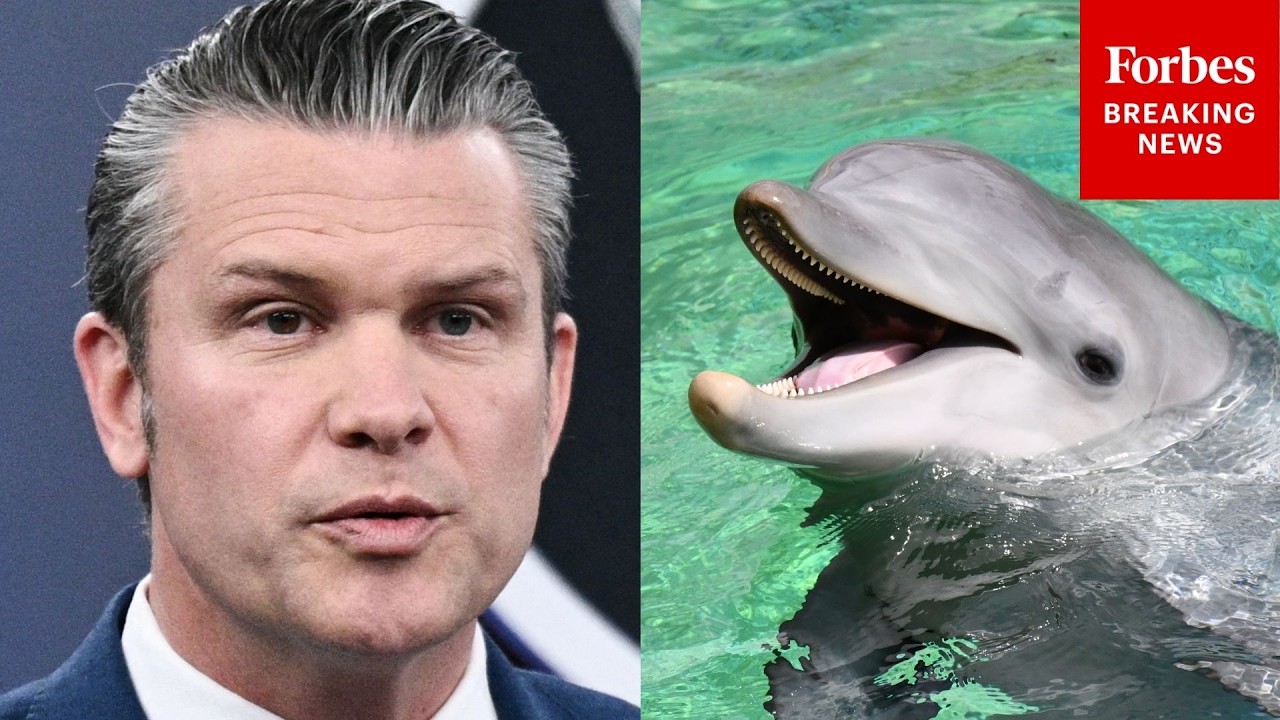 Video | Pete Hegseth Asked About Report Iran Is Trying To Use Kamikaze Dolphins In The Strait Of Hormuz