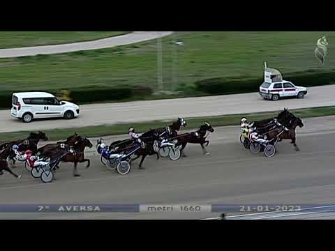 Aversa trotto 21 Gennaio 2023 - 7° Corsa