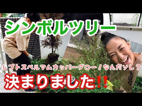 レプトスペルマムについて詳しく解説