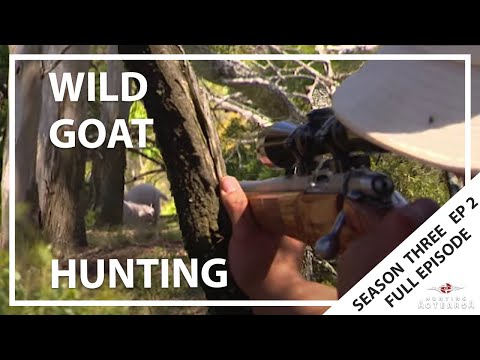 Hunting Aotearoa Series 3 Episode 2 - Hunting in Murrurundi, Australia