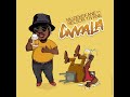 NELSON TIVANE MUZEKEFANE GWALA BEBIDA