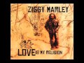 Ziggy Marley - "Be Free" | Love Is My Religion