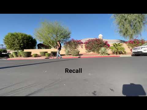 Lucky Dog Training : The Elite Dog Training Service of the CV. video.