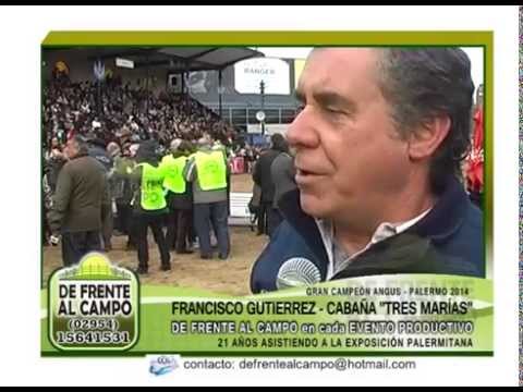 DE FRENTE AL CAMPO junto al ANGUS en PALERMO 2014