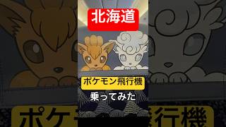 🛫 #ポケモン コラボ飛行機がポケモンまみれで激アツ！でも必ず乗れるわけじゃない！？機内紹介！ #北海道 #札幌  #旅行  #宮崎  #vtuber  #japan