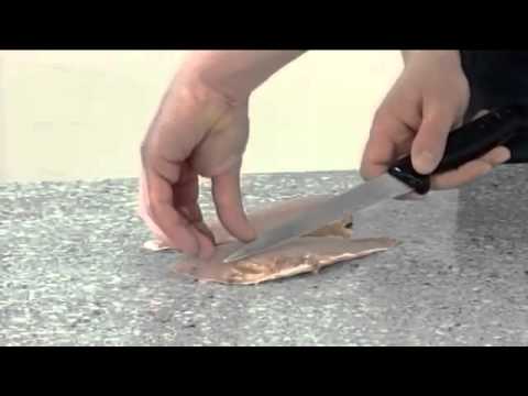 How to fillet a Red Mullet   210