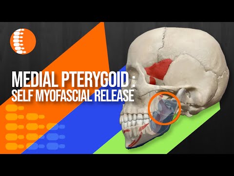 Medial pterygoid muscle: Self myofascial release