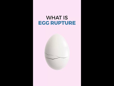 What is Egg Rupture mean?
