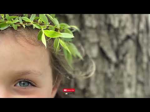 Frederic Francois Chopin - Joie De Vivre / 1 hour music