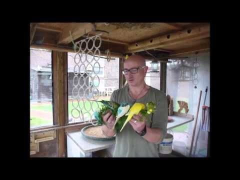 2015 11 08 Alexander Frankfurt