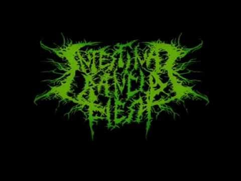 Intestinal Rancid Flesh - Gore Massacre DEMO 2013