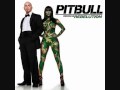 Pitbull - Pump It Up ( New Song 2010 ) 