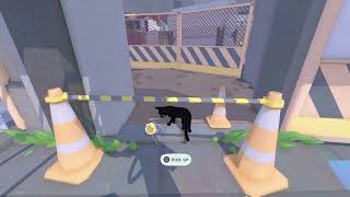 Little Kitty Big City on PS5, gameplay, commentary & life update