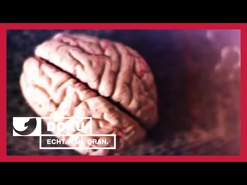 Facts about the brain - Did you know...? | kabel eins Doku