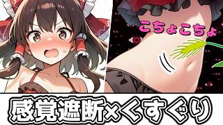 【感覚遮断】霊夢が感覚遮断されてイタズラされてしまう【ゆっくり茶番】【アニメ】