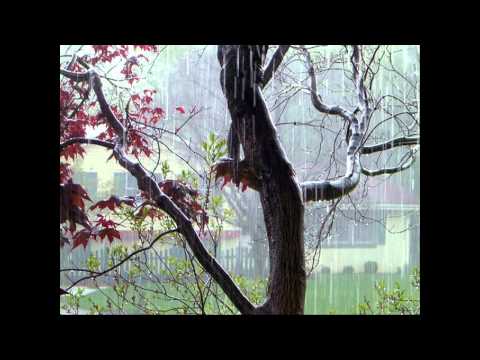 luis fonsi  llueve por dentro