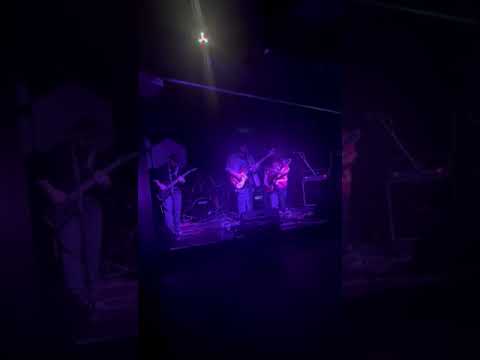Deaf Racoons - TV (Live at the Dark Horse, 26/4/25)
