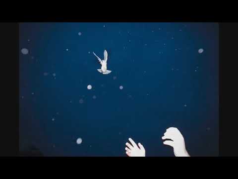 Videoclip de Birmingham — Ryan Adams