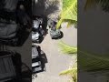 Drone footage from Epstein’s island (Original video removed by YouTube)