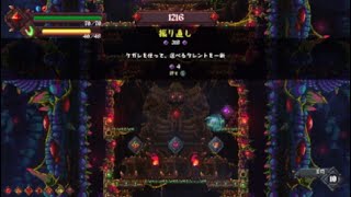 【ライジングヘル】 征服 ヴァル 苦悶Lv10 【PS4】