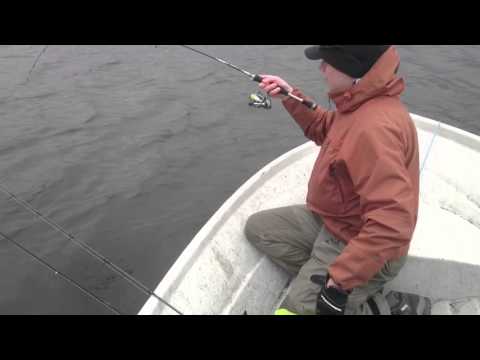 Toutaimen uistelua 28.04.16