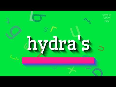 How to say "hydra's"! (High Quality Voices)