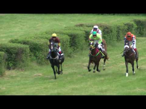 Šurany 7.5. Dostihy 4 - Cena Winixa