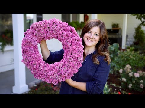 download lagu mp3 mp4 Gomphrena Flower, download lagu Gomphrena Flower gratis, unduh video klip Gomphrena Flower