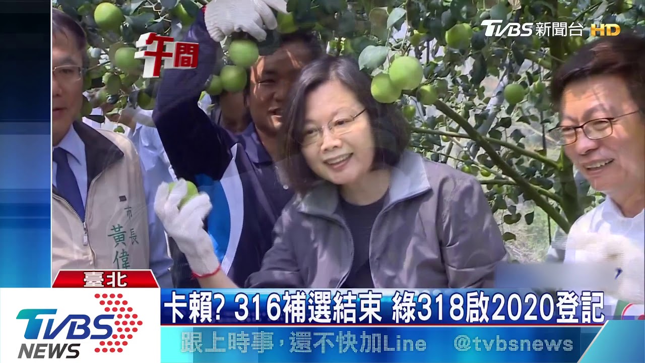卡賴?316補選結束 綠318啟2020登記