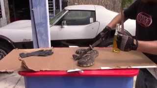 (diy)how to skin a rattle snake