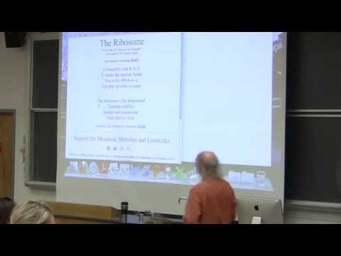 #19 Biochemistry Lecture (Translation) from Kevin Ahern's BB 350