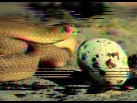 Aparthiva Raktadhara - Noumenal Wings Of Uncreation Hover Over The Excrements Of Sunyata