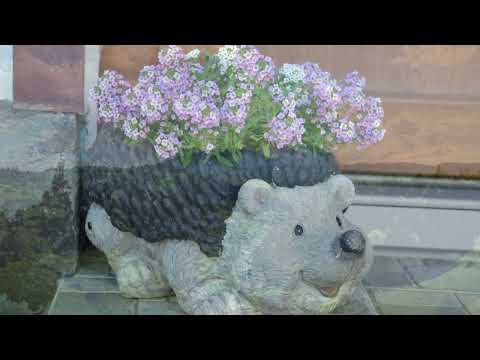 Casa Ioana - Poiana Mărului