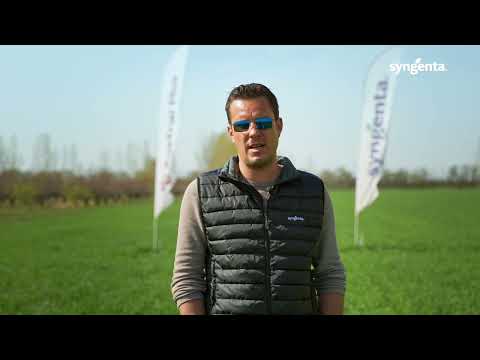 Testimonial Austral Plus, Ferma Domnească, Afumați, județul Ilfov