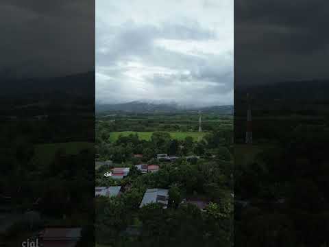 remedios chiriquí 💚❤️ #Remedios💚❤️