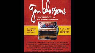 Gin Blossoms   Live at The Rose in Pasadena CA   11 16 2017