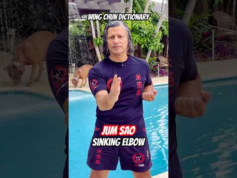 Wing Chun Dictionary | Jum Sao (Sinking Hand)