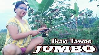 Download lagu Mancing ikan di sungai kecil kampung pedesaan di temani pemandangan yang indah udara yang sejuk mp3